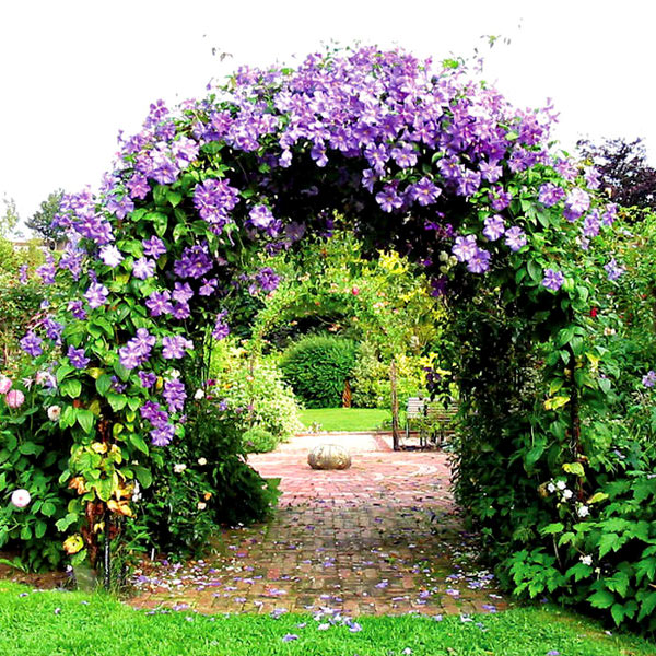 арка из цветов